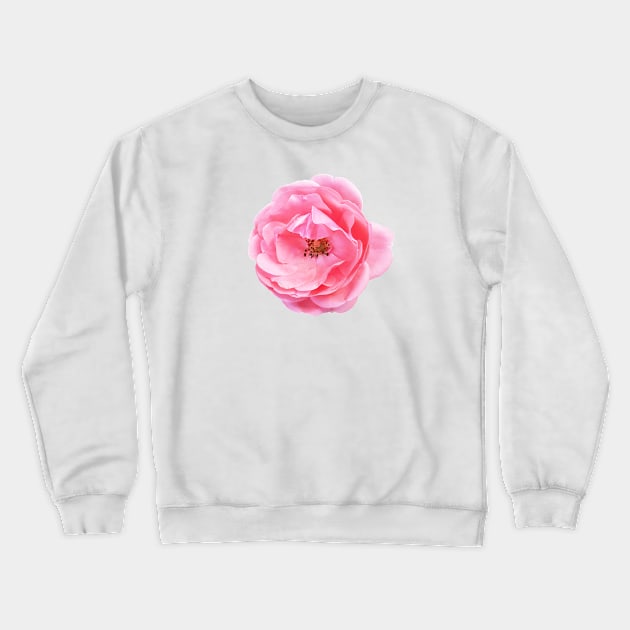 Roses are (pink) Crewneck Sweatshirt by misskyrstyn